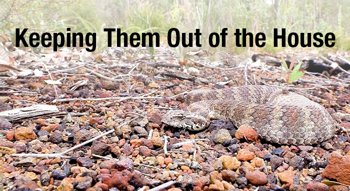 The Professional Guide to Comprehensive Snake Management in Australia - Keeping Them Out of the House