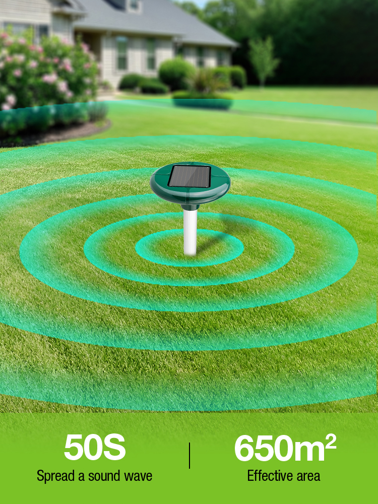 Sonic Drive Coverage