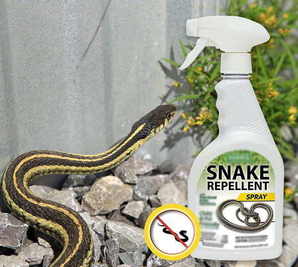 snake repellent spay