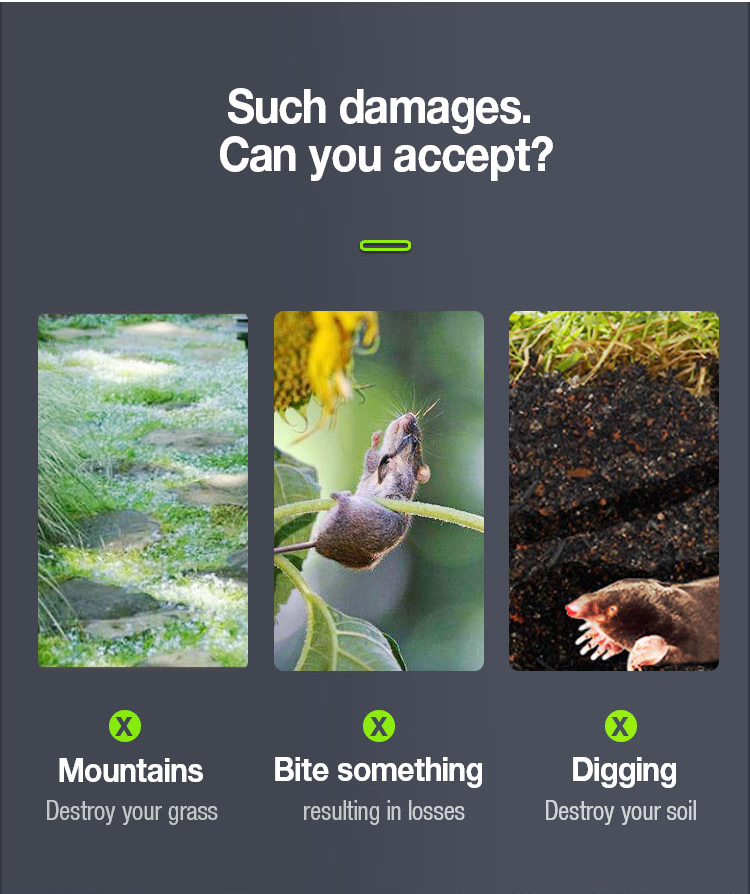 Damage caused by moles