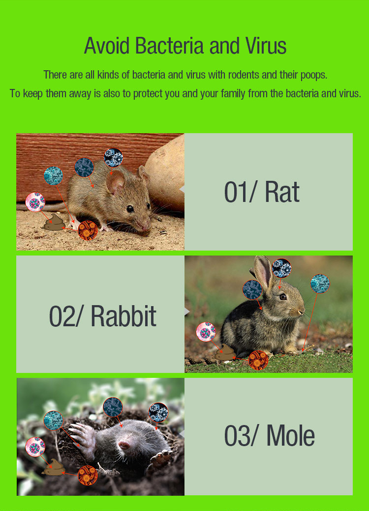 To keep mole away is also to protect you and your family from the bacteria and virus